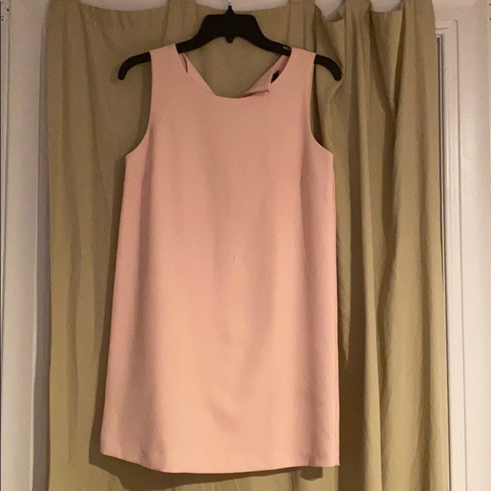 Blush Mini Dress